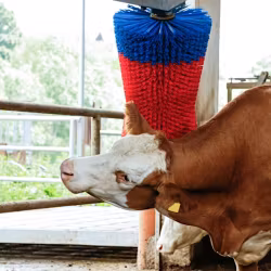 Elektrisk koryktborste Happycow Swing