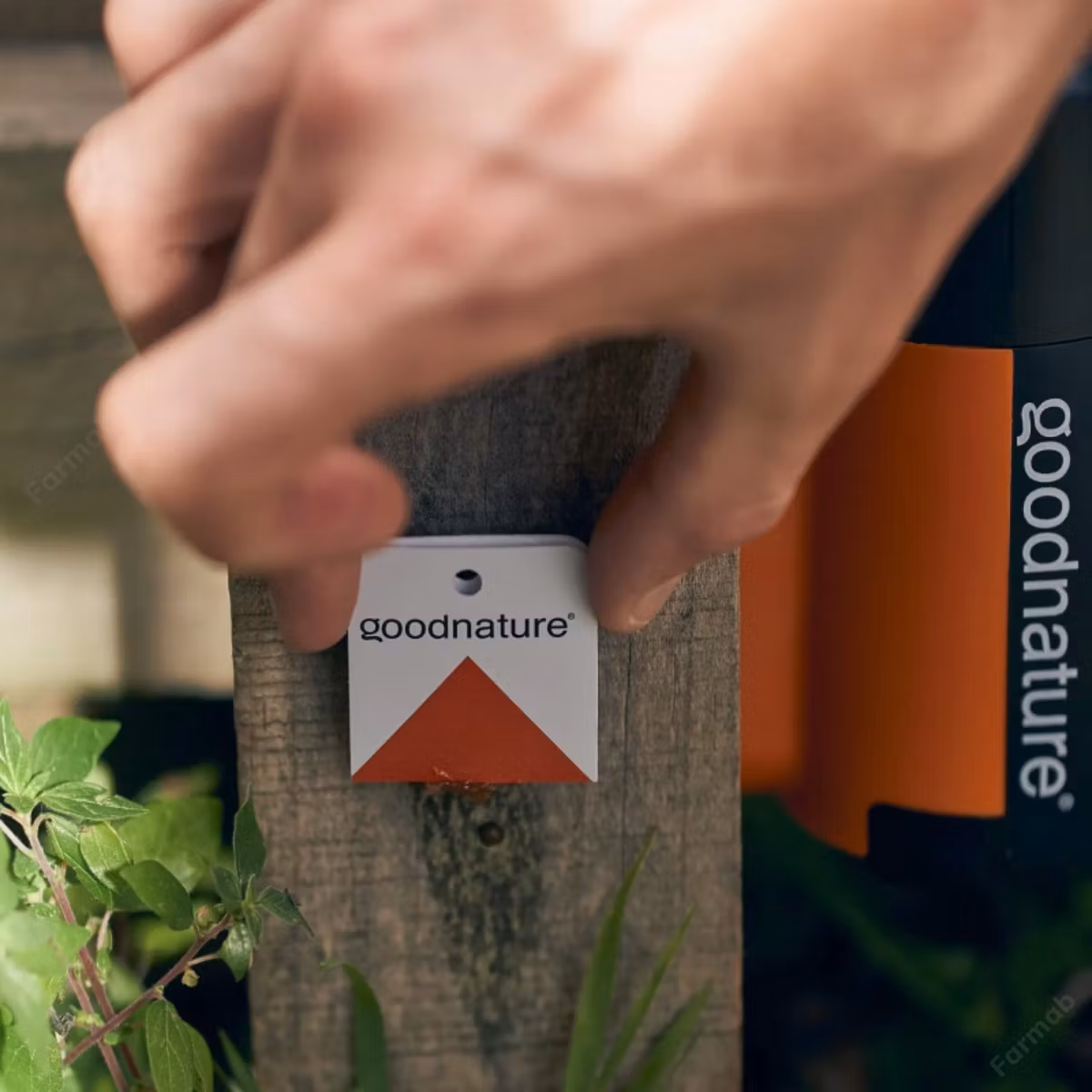 Optimera placeringen av dina fällor med våra Rodent Detector kort