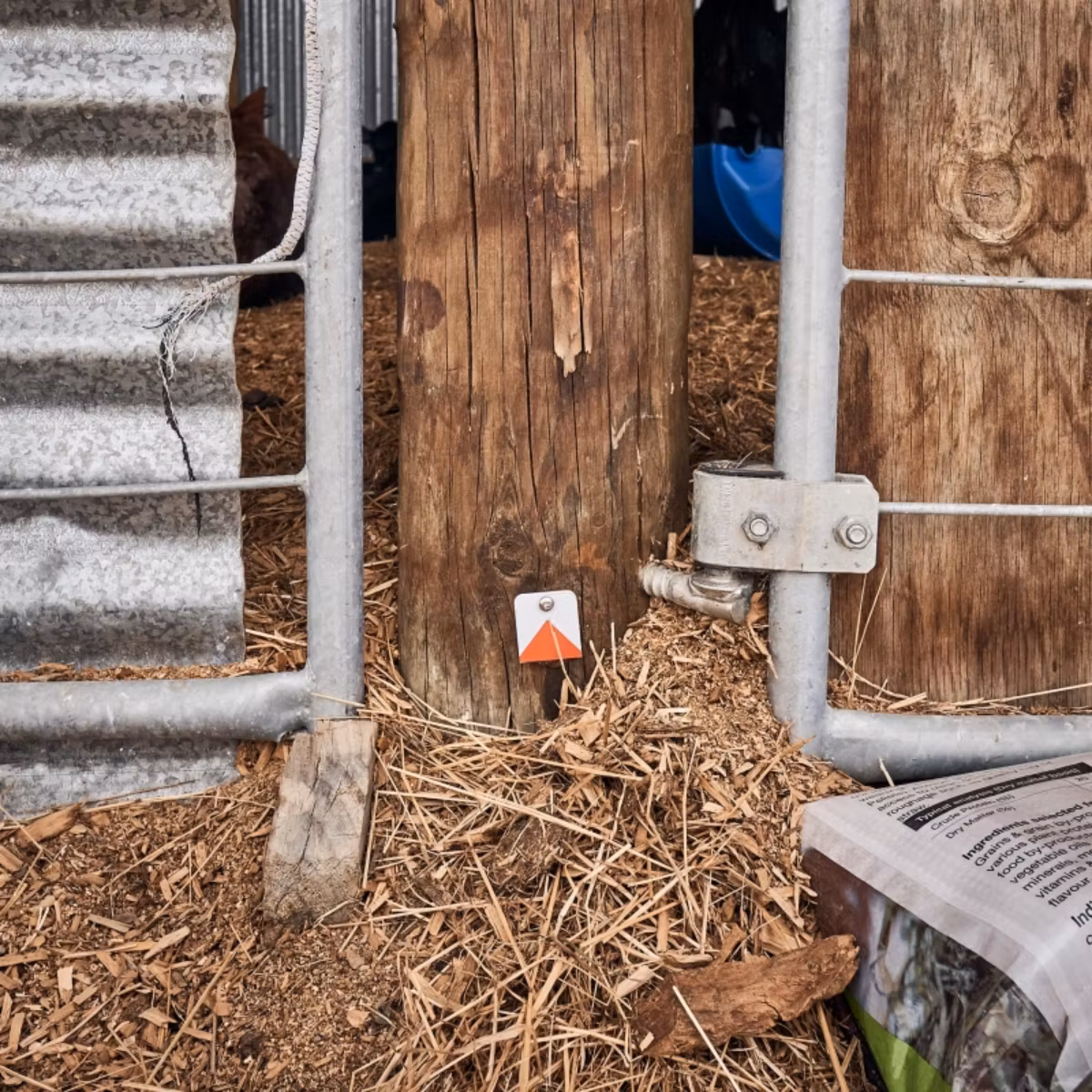 Effektiv spårning: Identifierar var råttor och möss äter och rör sig.