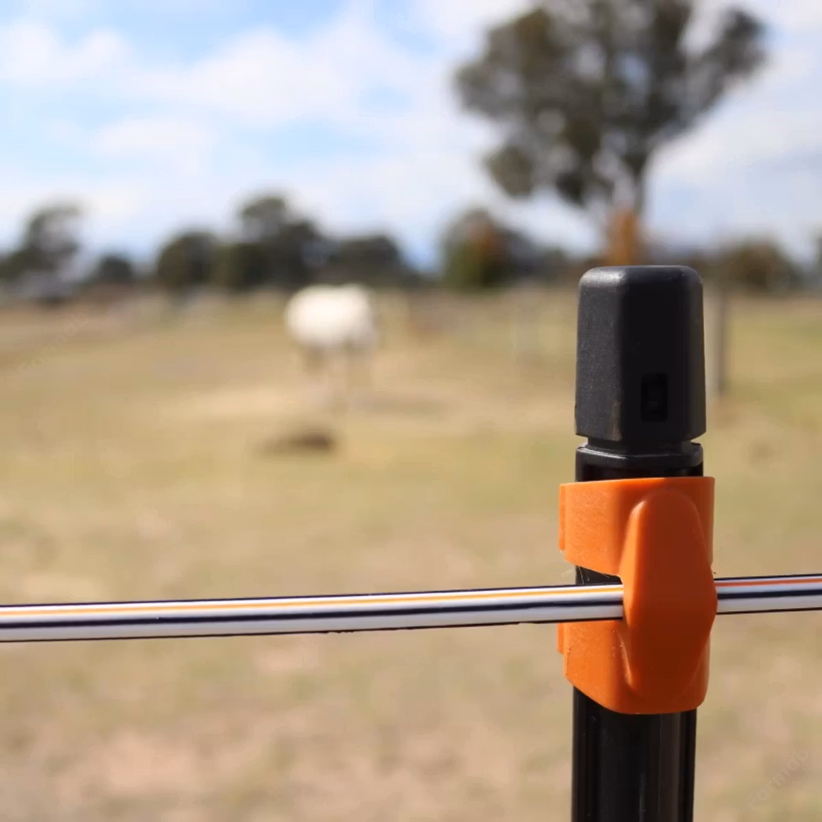 Stängseltråd Gallagher TurboStar Equifence Vit, 250m