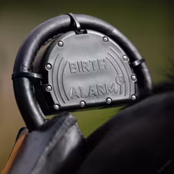 Fölvakt Birth Alarm Mobile 2.0 + Anti-Rull Gjord