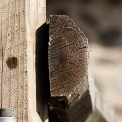 Stängselslana Octowood kluven, Två storlekar