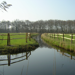 Kastanjeslana Farmfence, 2m