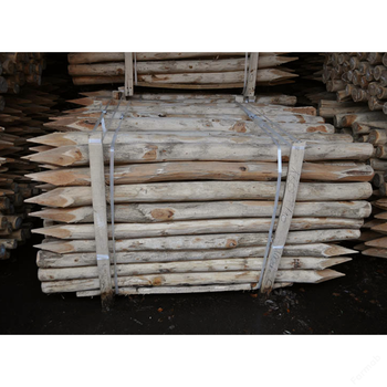 Robiniastolpar, 250-300cm, 25-pack