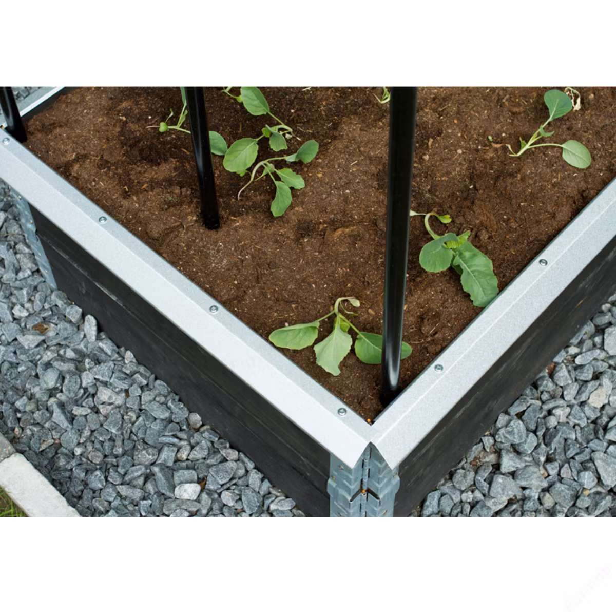 Snigelkant för odlingslåda 80x120cm