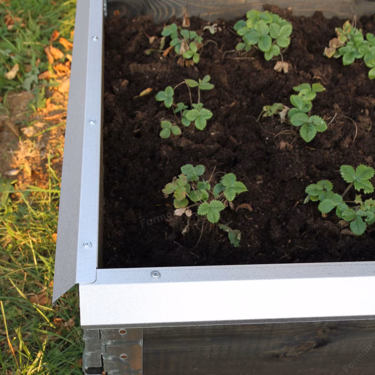 Snigelkant för odlingslåda 80x120cm