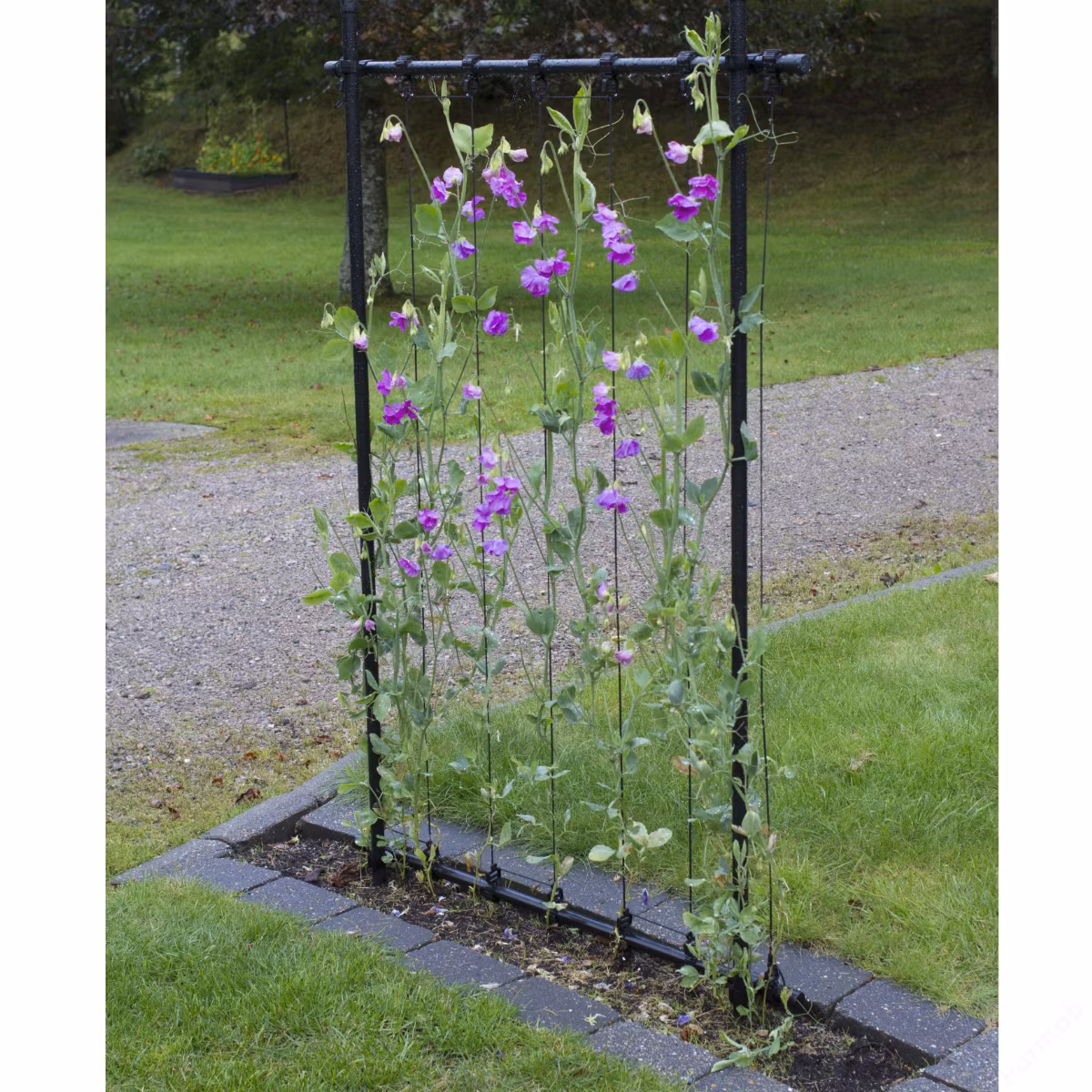 KEBAflexi-garden ramspaljé svart, 80cm
