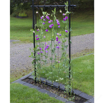 KEBAflexi-garden ramspaljé svart, 80cm