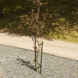 KEBAflexi-garden trädstöd 1200 mm – 1-stolpe svart