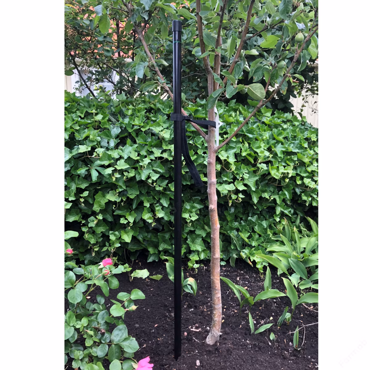 KEBAflexi-garden trädstöd 1800 mm – 1-stolpe svart
