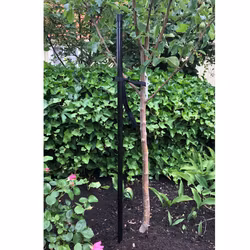 KEBAflexi-garden trädstöd 1800 mm – 1-stolpe svart