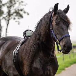 Fölvakt Birth Alarm Classic