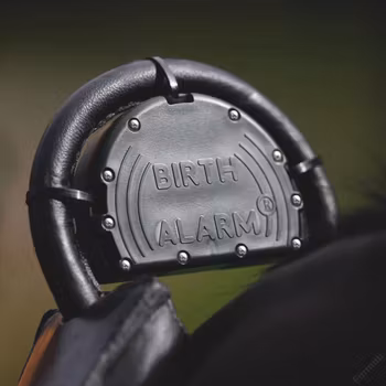 Fölvakt Birth Alarm Mobile 2.0 (4G)