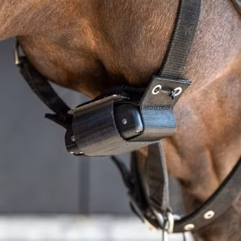 Fölvakt Birth Alarm Premium Plus - inkl App