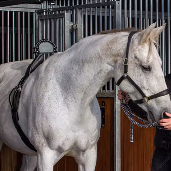 Fölvakt Birth Alarm Mobile 2.0 + Anti-Rull Gjord