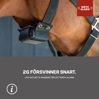 Uppgradering från 2G till Birth Alarm 2.0 Lite 4G