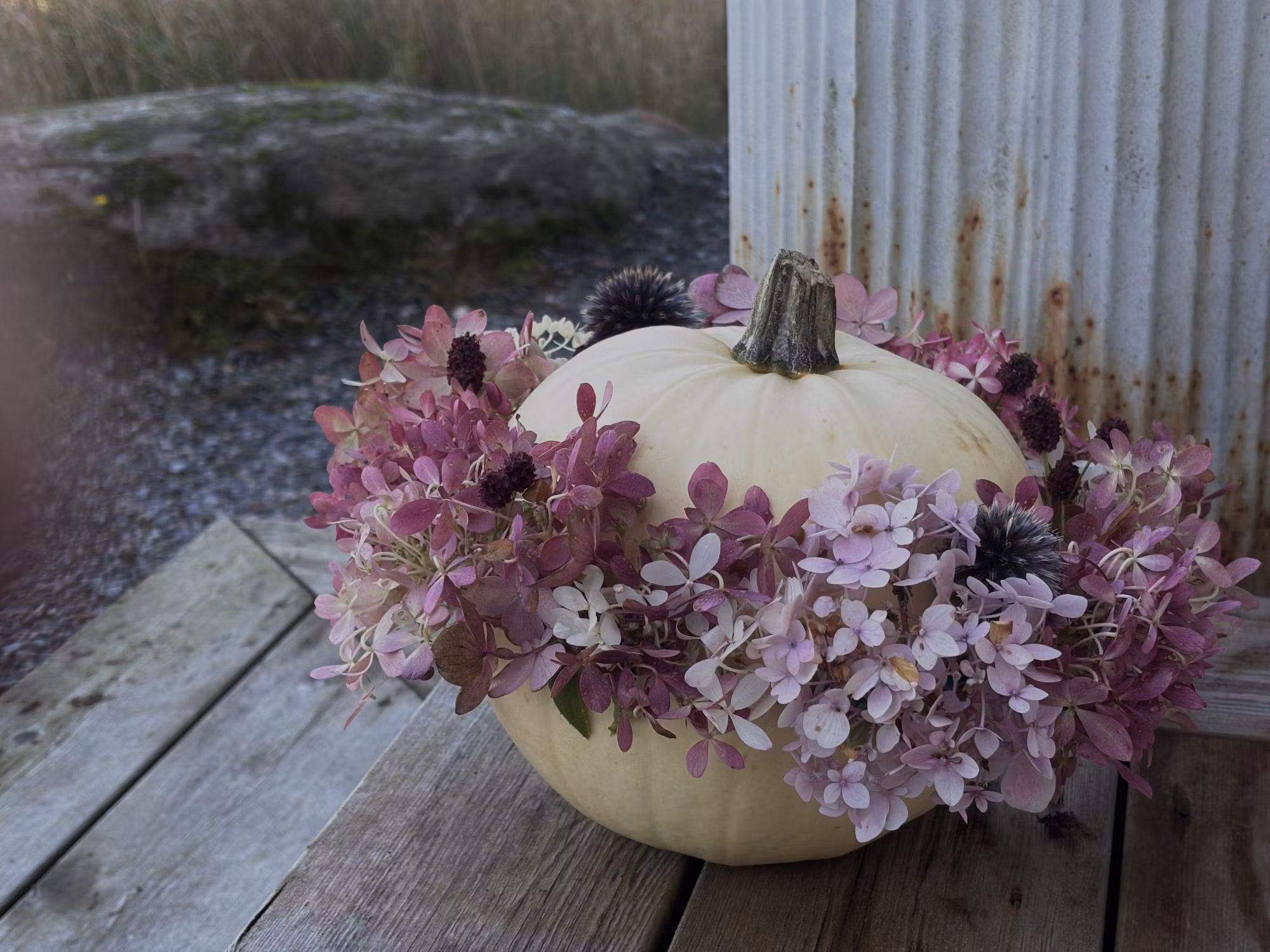 Dekorera pumpan med blommor – enkelt, vackert och höstigt