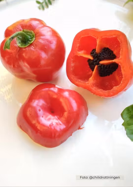 Chili - Rocoto Arequipa Giant