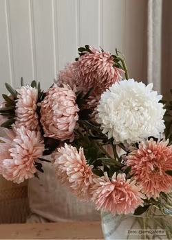 Aster - King Size Apricot