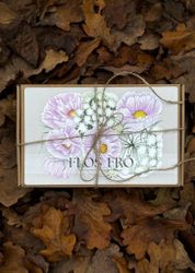 Fröbox/Direktså i kruka - WHITE BLUSH