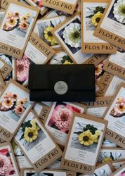 Fröpaket Zinnia Summer - fyra sorter