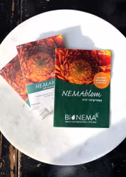 NEMAblom - biologiskt medel mot sorgmyggor