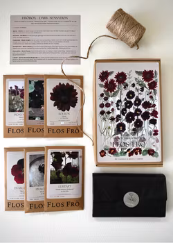 Fröbox - Dark sensation