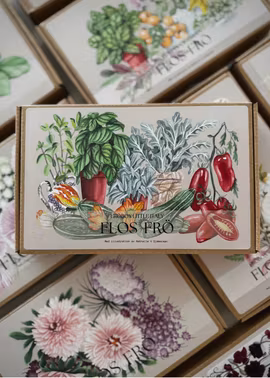 Fröbox – Little Italy