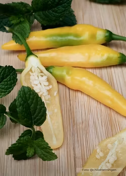Chili - Aji Pineapple