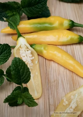 Chili - Aji Pineapple