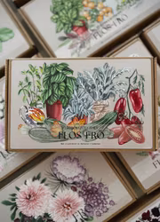 Fröbox – Little Italy