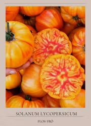 Bifftomat - German Gold EKO