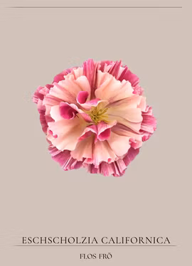 Sömntuta - Thai Silk Appleblossom Chiffon