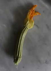 Zucchini - Costata Romanesco EKO