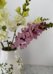 Lejongap - Opus III Lavender