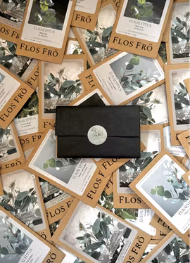 Fröpaket Eukalyptus - fyra sorter