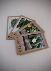 Fröpaket Gurka - fyra sorter