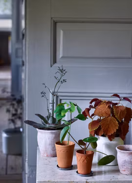 Fat för Liten Lerkruka