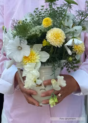 Tagetes - White Swan