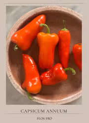Snackspaprika - Snacking Red F1