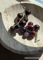 Körsbärstomat - Indigo Blue Berries
