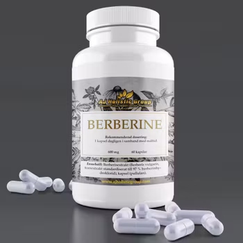 Berberine 600 mg - 60 kaplsar