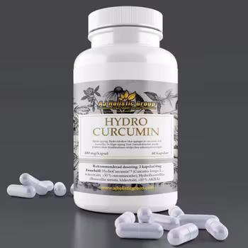 HYDRO CURCUMIN 60 kapslar