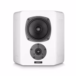 M&K SOUND S300T