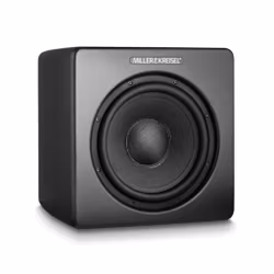 M&K SOUND V10+