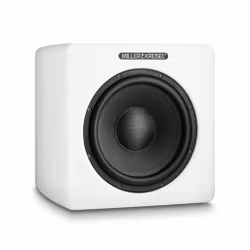 M&K SOUND V10+