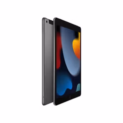 iPad 10.2" (2021) 64 GB 4G LTE