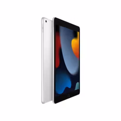 iPad 10.2" (2021) 64 GB 4G LTE