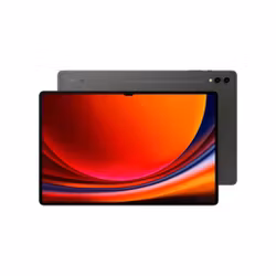 Samsung Galaxy Tab S9 Ultra 5G 256GB - Graphite
