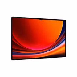 Samsung Galaxy Tab S9 Ultra 5G 256GB - Graphite